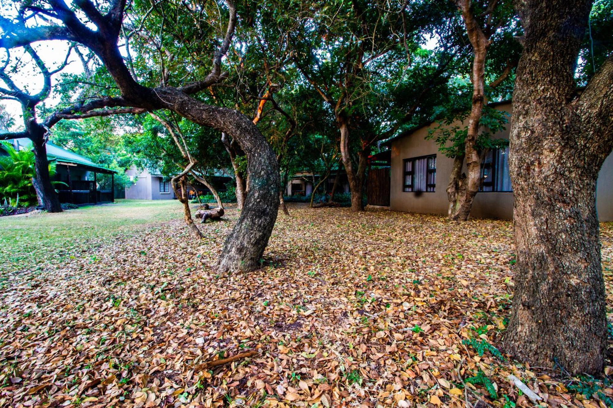 Emdoneni Lodge With Zululand Cat Conservation Project 赫卢赫卢韦 外观 照片