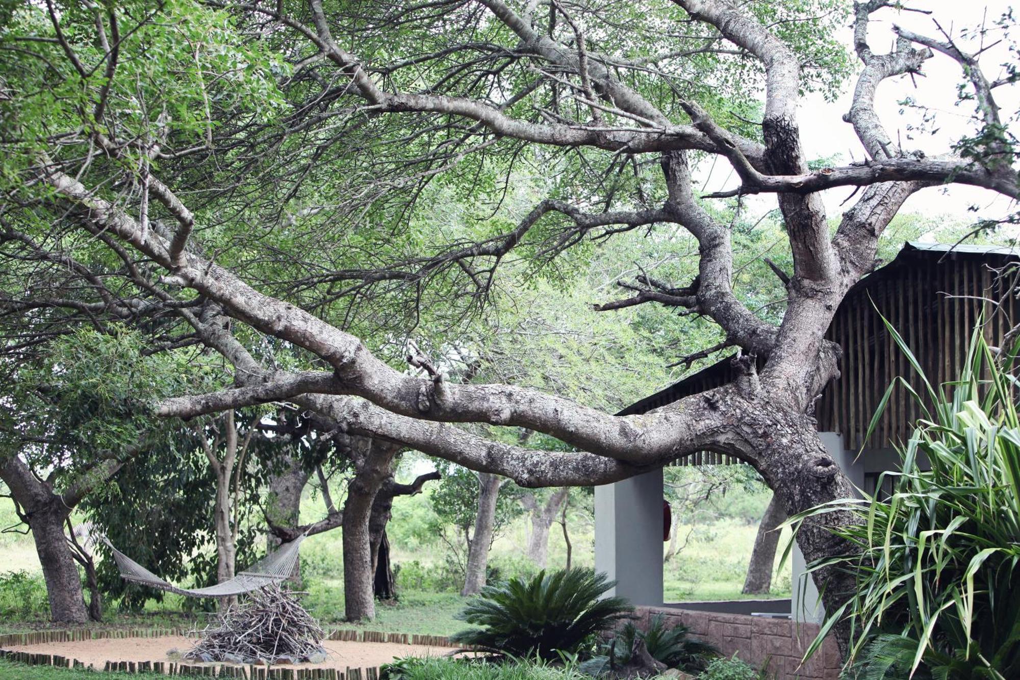 Emdoneni Lodge With Zululand Cat Conservation Project 赫卢赫卢韦 外观 照片