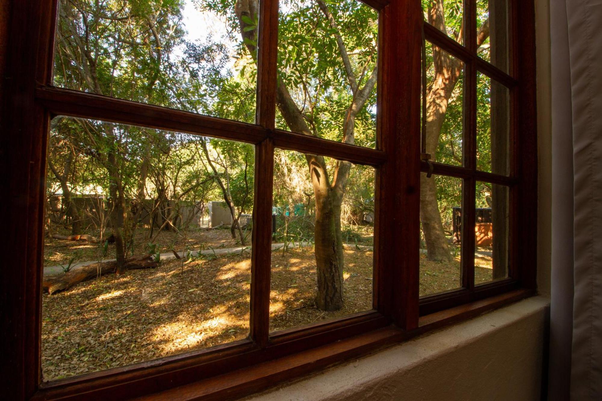 Emdoneni Lodge With Zululand Cat Conservation Project 赫卢赫卢韦 外观 照片